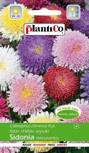 Asteres ķīnas princešu SIDONIA MIX 1 g PlantiCo  A.P.